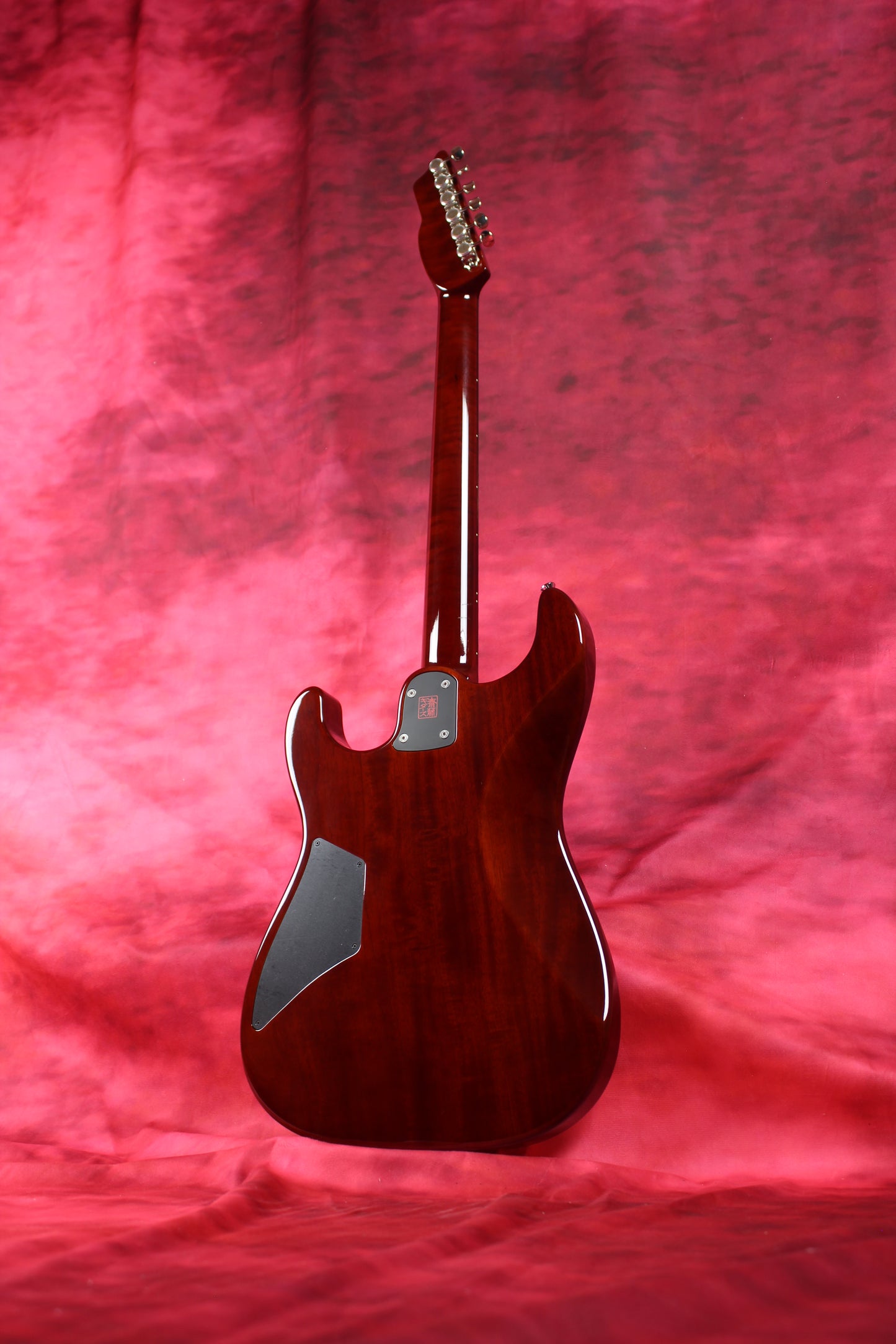 622BEYOND Trans Brown / Spruce Top / SS / #242754