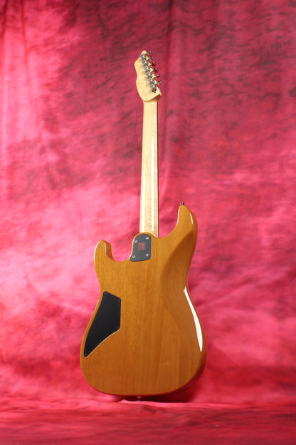622BEYOND Trans Brown / Spruce Top / HH / #242587