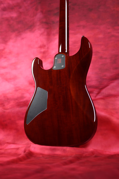 622BEYOND Trans Brown / Spruce Top / SS / #242754